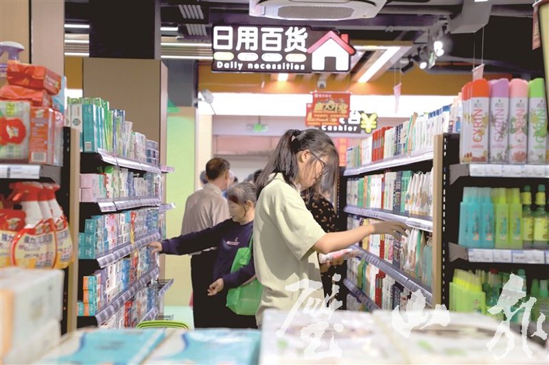 家庭必备:选择塑料收纳箱的全攻略
